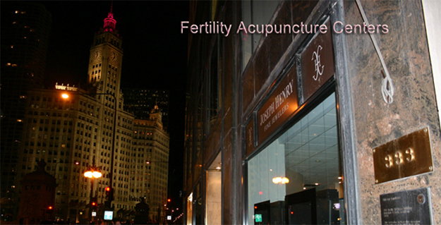 Downtown Chicago office exterior